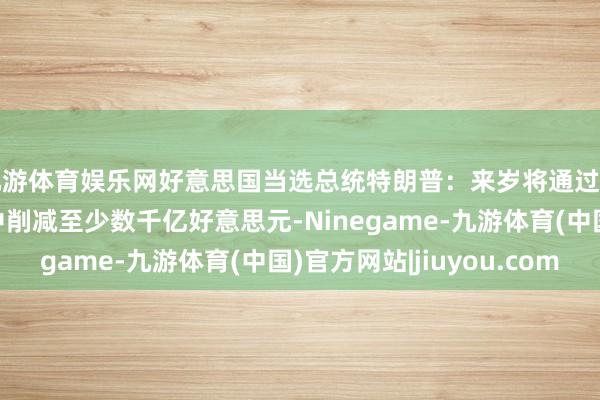 九游体育娱乐网好意思国当选总统特朗普：来岁将通过对账在联邦政府开支中削减至少数千亿好意思元-Ninegame-九游体育(中国)官方网站|jiuyou.com